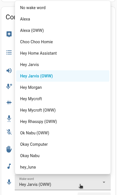 Wake word select